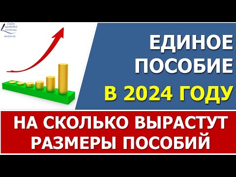 ⚡На сколько вырастут размеры ЕДИНОГО ПОСОБИЯ в 2024 году⚡