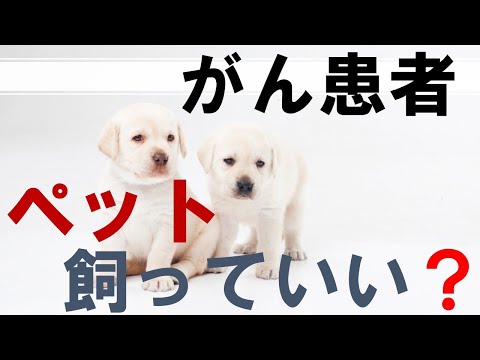 がん患者さんがペットを飼うメリットと注意点：医師が解説