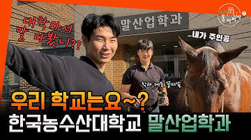 [전지적 동아리 시점] 우리 학교는요~? 한국농수산대학교 말산업반려동물전공 🐴🏫