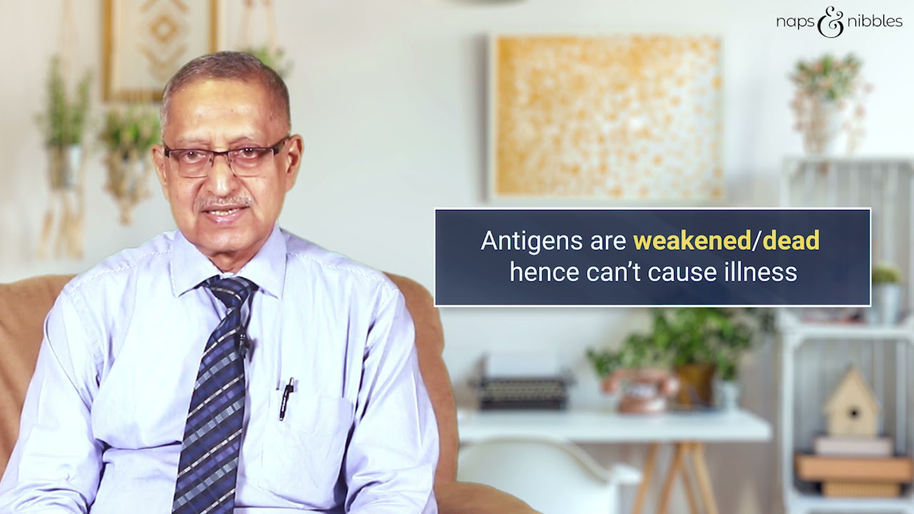 How do vaccines work