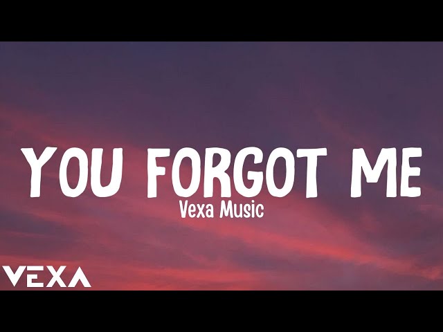 Vexa - You Forgot Me (Official Audio Lyrics) - YouTube