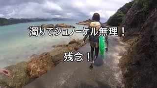 南伊豆 弓ヶ浜 ・ 九十浜   Villa Yumigahama泊　家族旅行