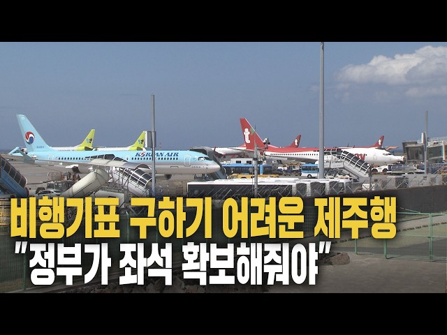 비행기표 없어서‥"정부가 좌석 확보해줘야"