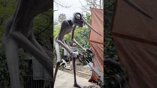 Terrifying Creatures That Appear on Earth P73 #survival #animals #trending #shortvideo #camping