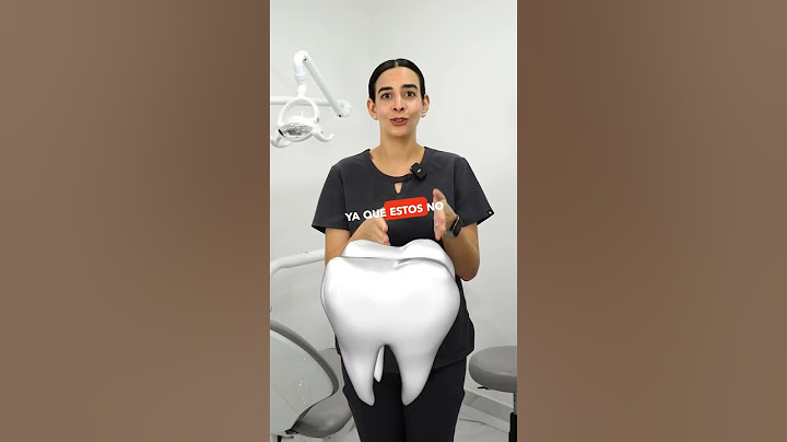 🪥🤔 ¿Cómo elegir el cepillo dental perfecto? Opta por cerdas suaves, un cabezal pequeño.