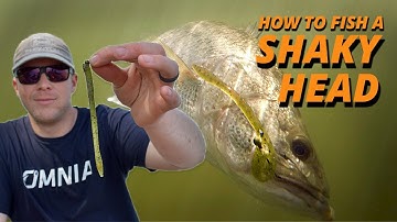 How to Fish a Shaky Head w/ Patrick Walters