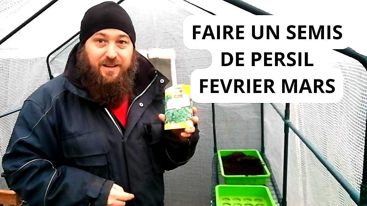 Comment Faire un Semis de Persil ?
