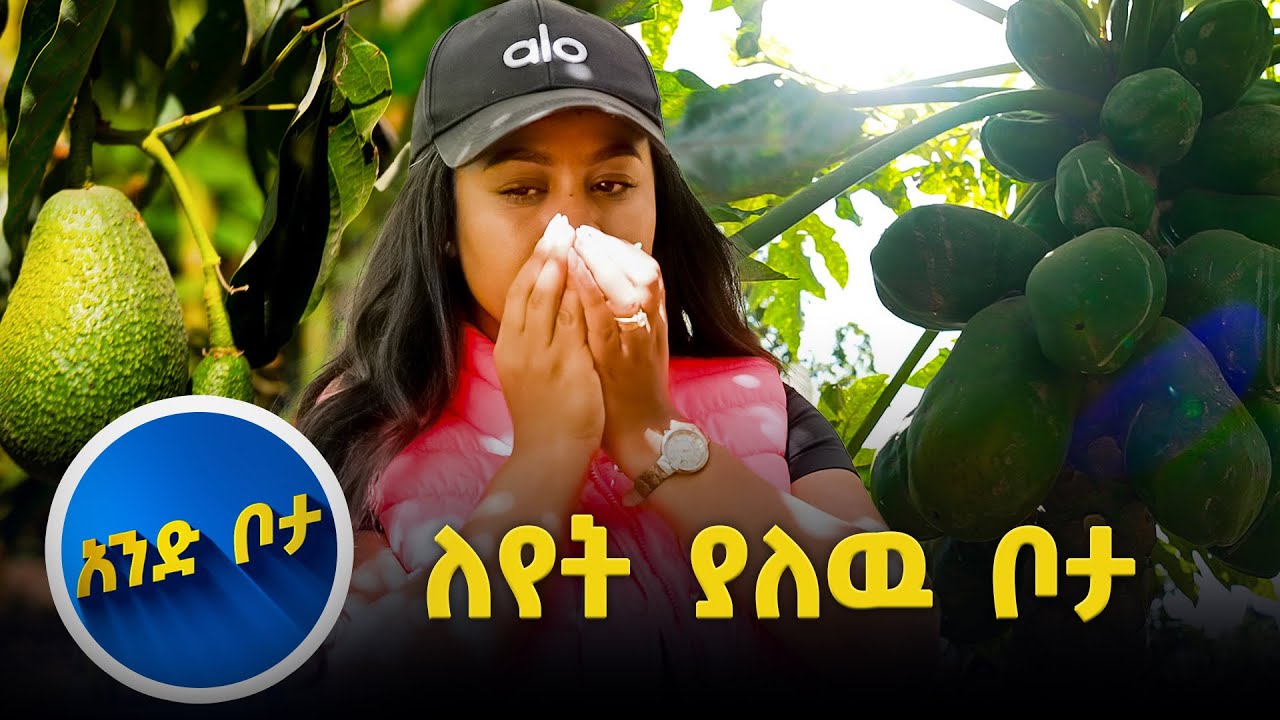 ከከተማ ወጣ እንዳልኩ ምን አጋጠመኝ መሰላችሁ…?// እሁድን 1 ላይ//