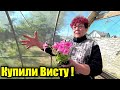 Купили новые цветочки!