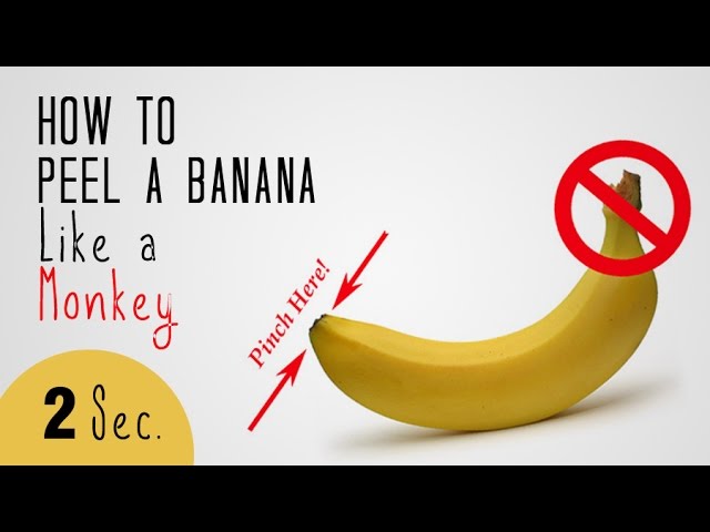 How To Peel A Banana Like A Monkey | Joyful Banana Peeling for Kids funny videos | WOW Recipes