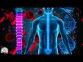 Frequency Of Recovery And Healing | Repair DNA, Whole Body Regeneration - 528 Hz