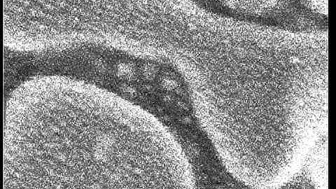 Hitachi S-4800 SEM stigmator alignment