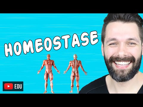 Vídeo: Como o sistema excretor mantém a homeostase?