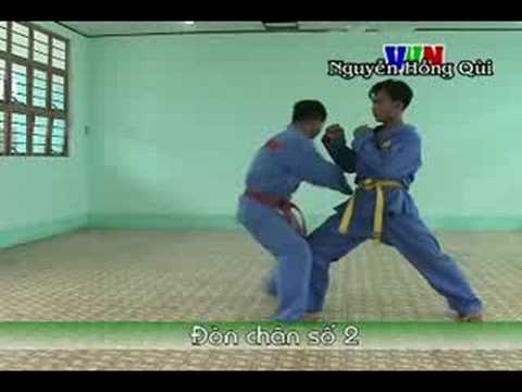 Đòn Chân Tấn Công số 2 - Vovinam Technical Program