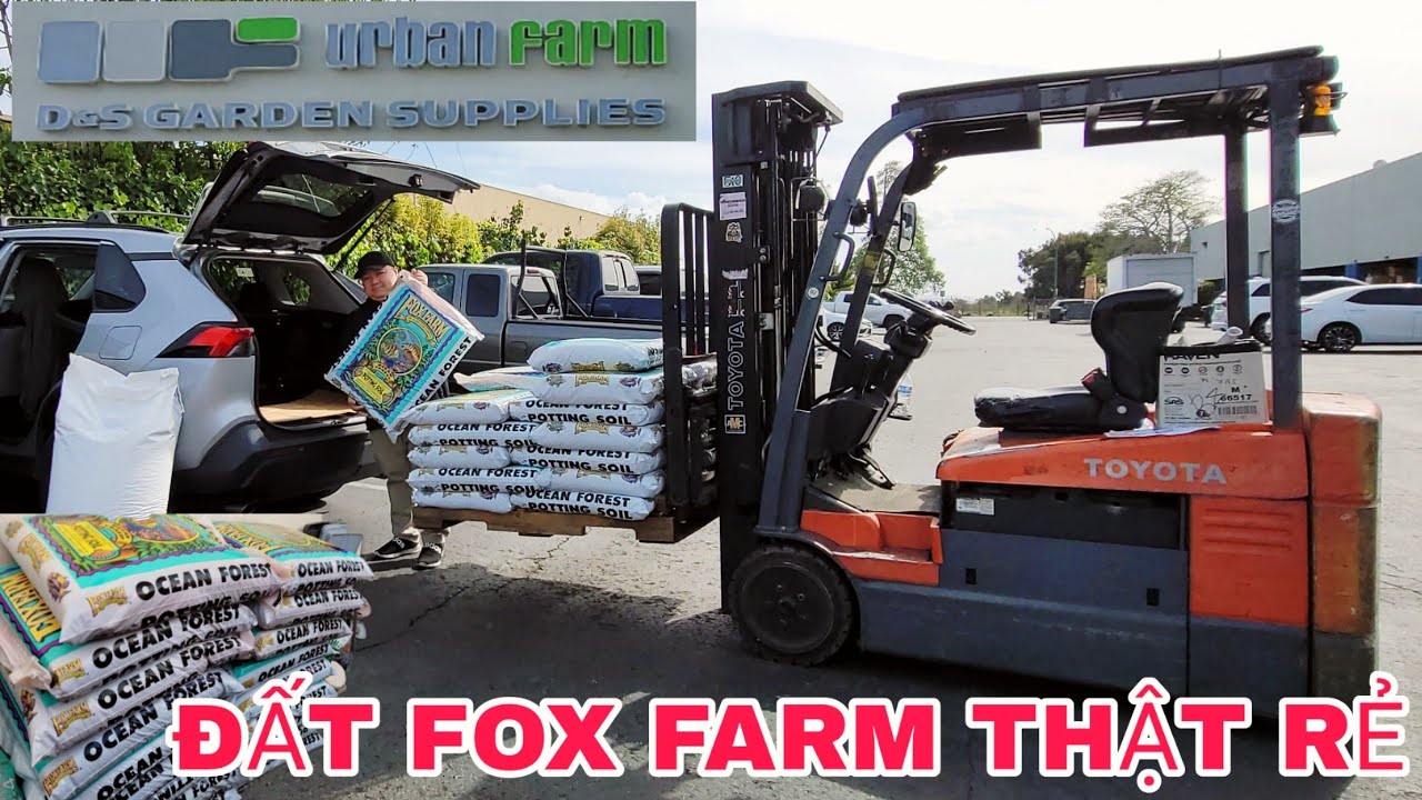 t-fox-farm-ocean-forest-perlite-gi-m-gi-m-nh-ch-u-25-gallon-r-n-u