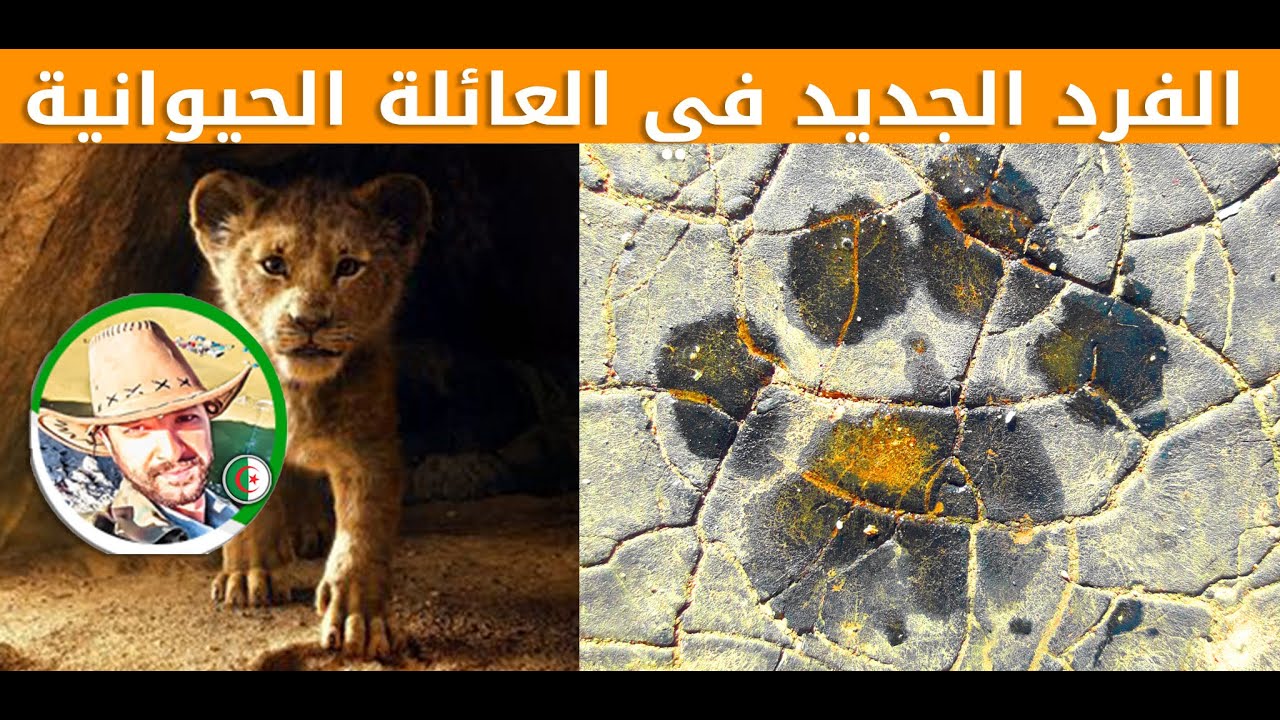 الفرد الجديد في العائلة الحيوانية