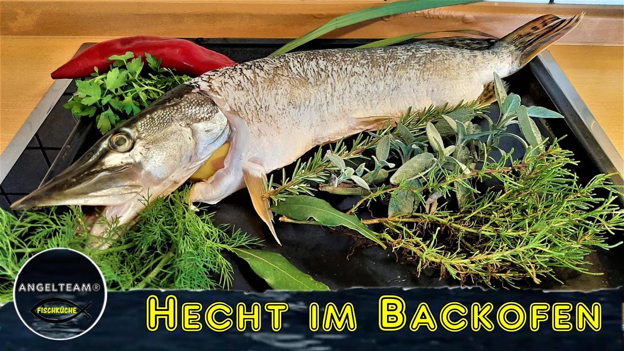 Hecht im Backofen - einfaches Fisch Rezept mit mediterranen Kräutern im Speckmantel (Catch and Cook)