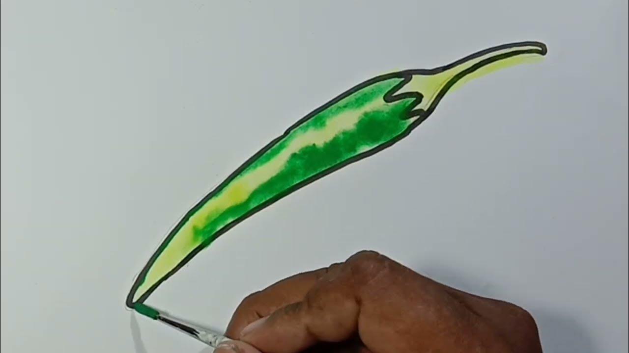 green chilli drawing // hari mirchi drawing YouTube