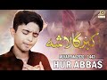 Hur abbas new noha 2020 i akbar kaa lasha i hur abbas  new muharram noha 1442h i  202021