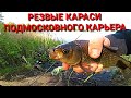 Резвые КАРАСИ рвут снасти! РЫБАЛКА на подмосковном карьере.