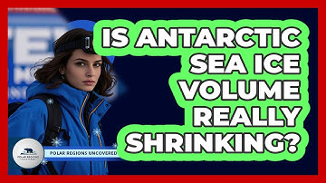 Is Antarctic Sea Ice Volume Really Shrinking?