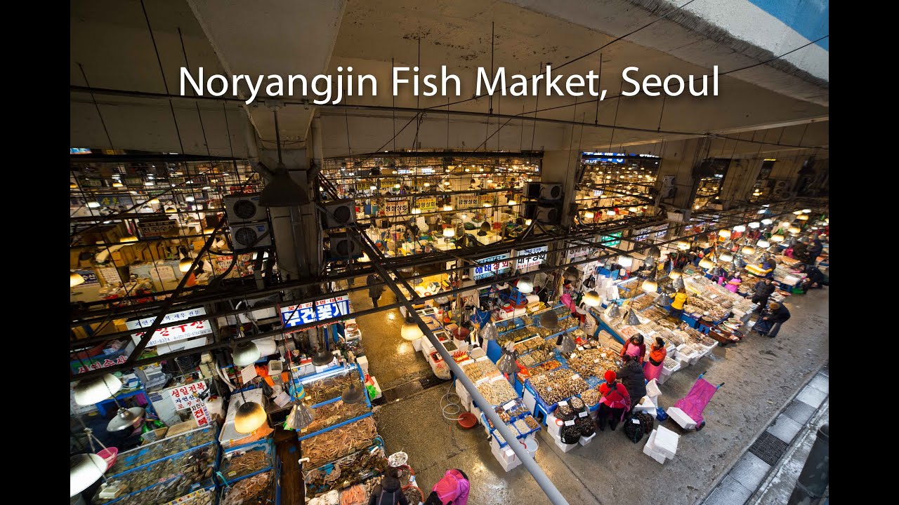  Noryangjin  Fish Market Seoul YouTube