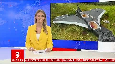 Nė metų premjeru neišdirbęs Paluckas praranda pasitikėjimą: į priekį veržiasi konservatoriai
