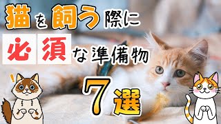 猫を飼う際に必要なもの７選と、いずれ揃えておきたいもの７選！