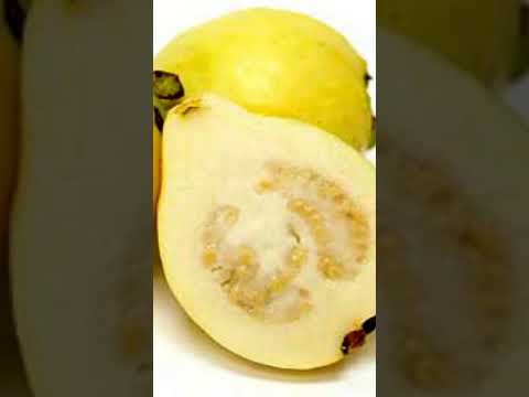 فوائد الجوافه فوائد فاكهة فواكه صحة صحي ديت اعشاب طبيعيه خضراوات نباتات واعشاب علاجية مسك