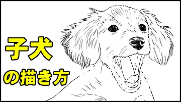 動物の描き方 ダックスフンドのリアルなイラストが誰でも簡単に上手くなる方法ー中学校の美術で使える動物スケッチの書き方のコツ Mp3