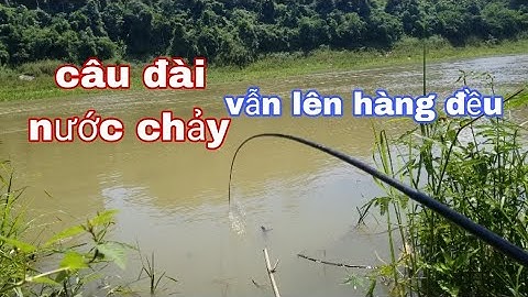 Câu đài tự nhiên.sông thủy điện.mùa nước lên.nước chảy cá vẫn ăn mạnh.giật tê tay./NDLDTV