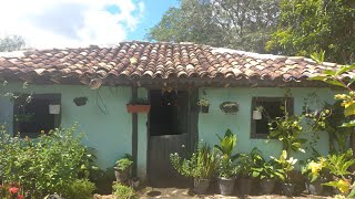 MOSTRANDO MEU JARDIM DEPOIS DA ORGANIZAÇÃO 