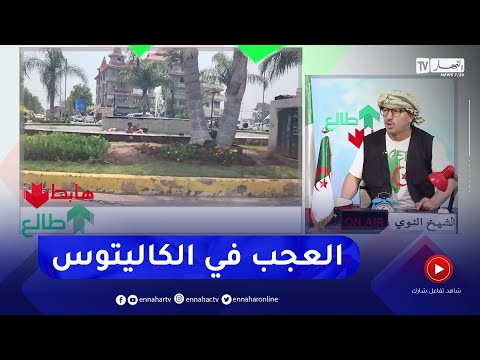 طالع هابط فتح موسم في الإصطياف في بلدية الكاليتوس شاهد