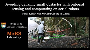 Avoiding dynamic small obstacles with onboard sensing and computation on aerial robots