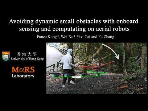 Avoiding Dynamic Small Obstacles with Onboard Sensing and Computation on Aerial Robots