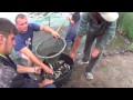 Погрузка риби 4 для зариблення Тернопільського озера
