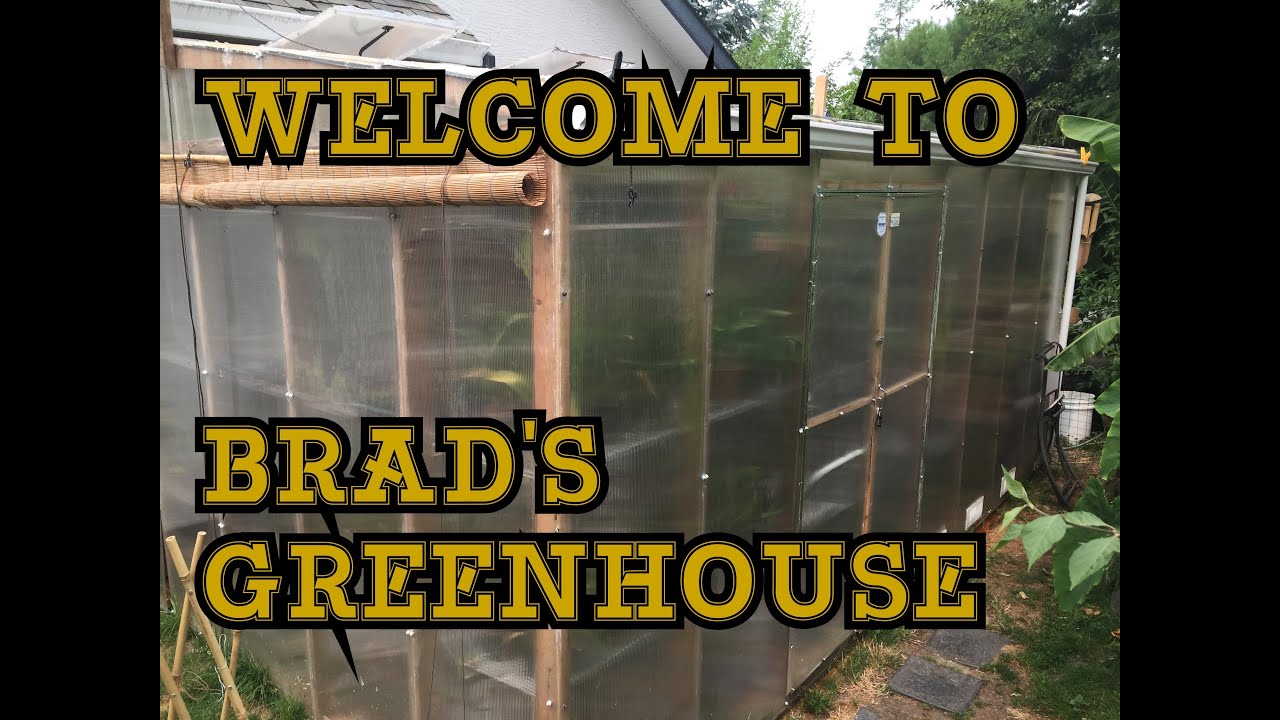 TO BRAD'S GREENHOUSE INTRO VIDEO YouTube