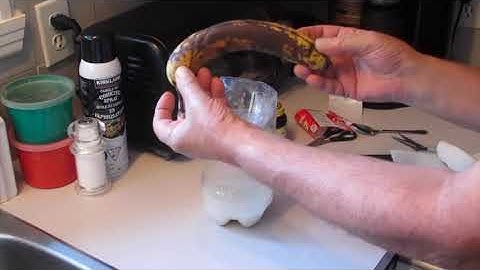 DIY Japanese Beetle Trap