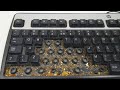 Deep Cleaning The DIRTIEST Keyboard Ever! | 4K | [ASMR]