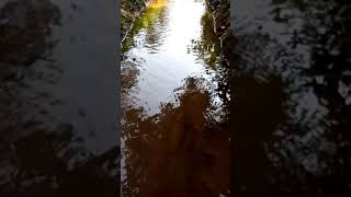 Water tune screenshot 4