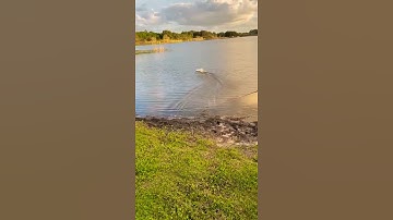 twin engine electric rc airboat gen1