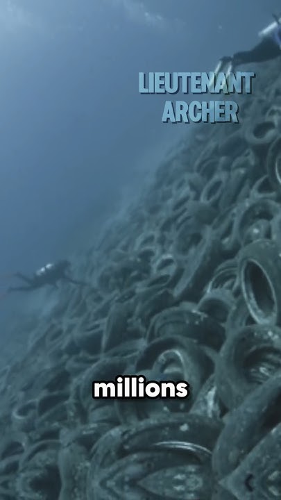 why-does-the-u-s-military-intentionally-sink-tanks-in-the-ocean