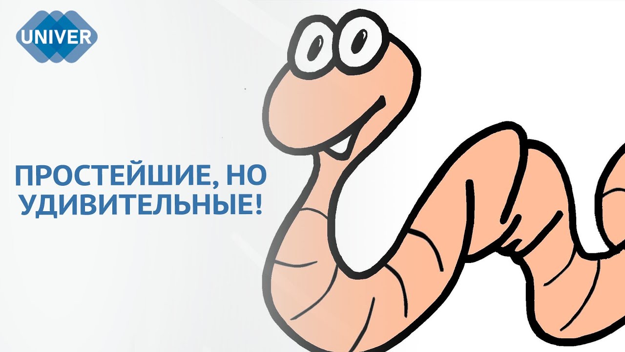 ЧЕРВИ УМЕЮТ ВЛИЯТЬ НА КЛИМАТ В ПОЧВЕ - YouTube