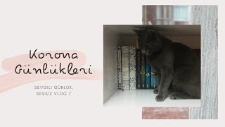 korona izole günlükleri, | sessiz vlog | 7 (silent vlog, soft music, cats, snow, room arrangement) screenshot 1