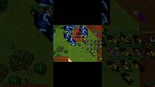 Best UE & SD Combos? | Tibia War Kings | Old School Retro | #tibia #tibiagame #tibiaglobal #tibiabr