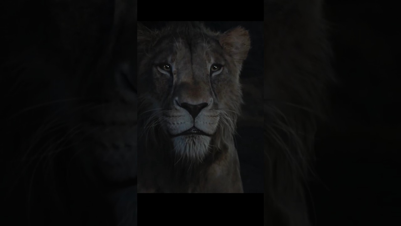 Kimse Kötü Doğmaz... | Mufasa : Aslan Kral 2024  