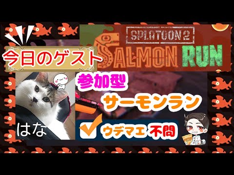 小田原 天ぷら きく も と 小田原 天ぷら きく も と