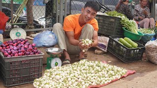 Harvesting The White Eggplant Garden And Bringing It To The Market To Sell || An Ca