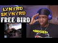 FIRST TIME LISTENING! Lynyrd Skynyrd - Freebird REACTION!🔥