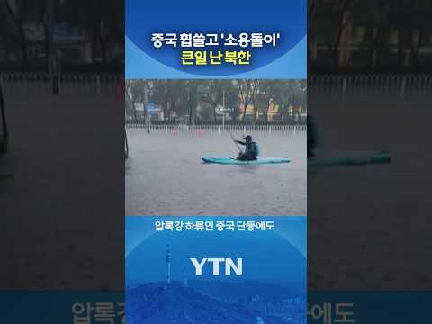 바다 건너 한반도로 #shorts / YTN